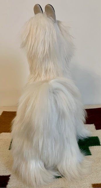 White alpaca with long fur standing on a patterned rug against a plain wall.